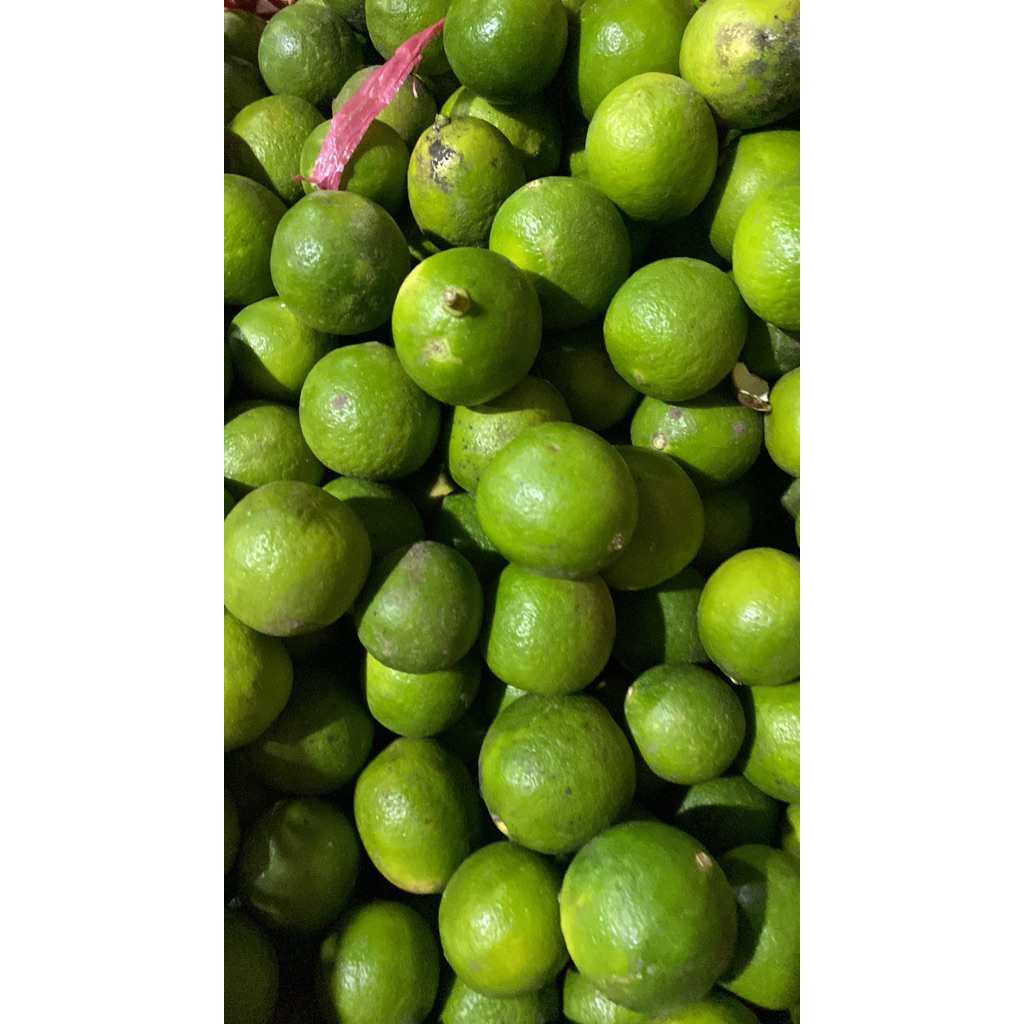 

jeruk nipis 500gr