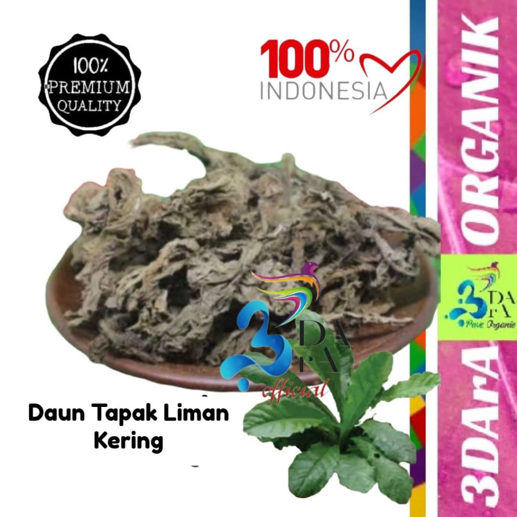 

Daun Tapak Liman Kering Asli Premium