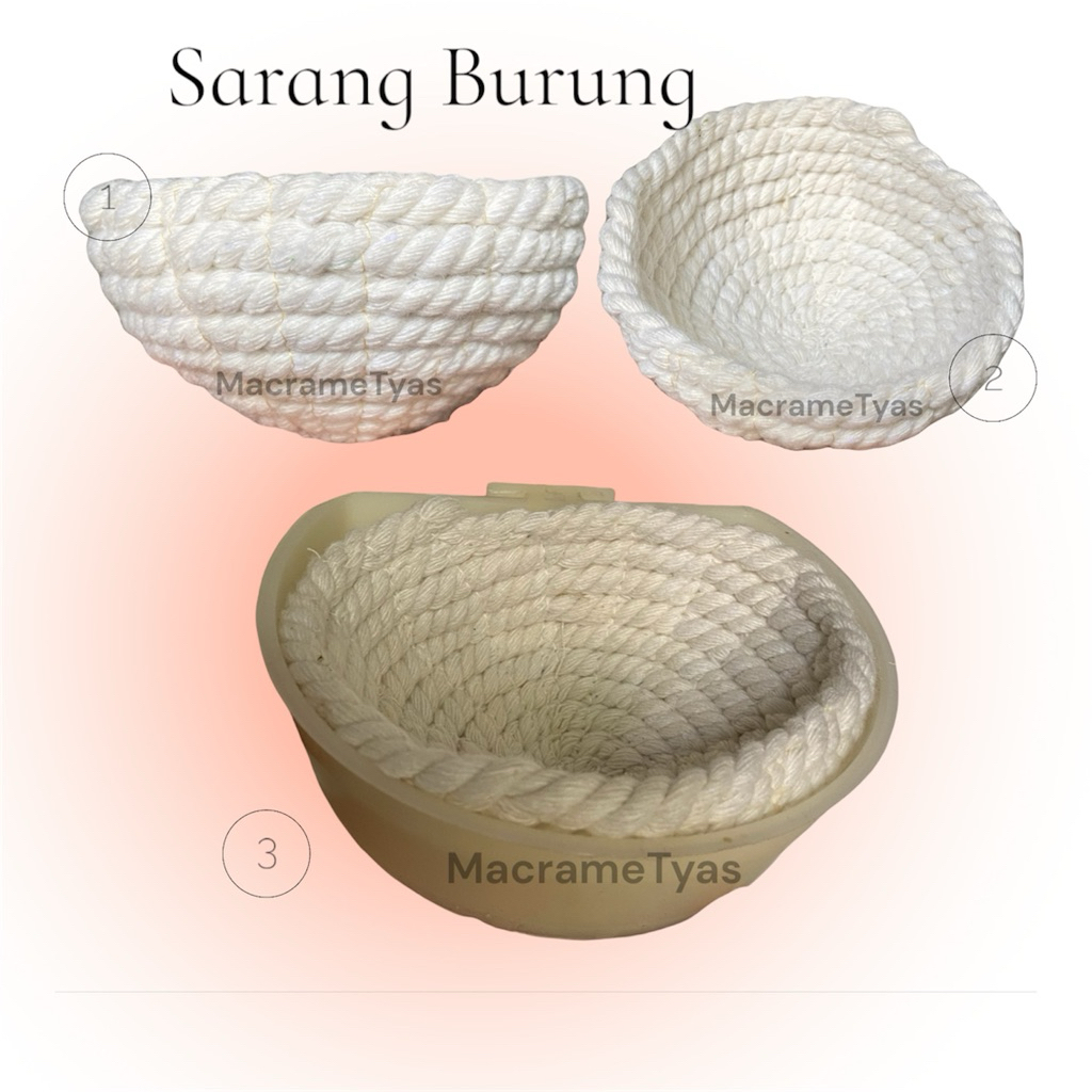 Sarang Burung Kenari - Sarang Kenari