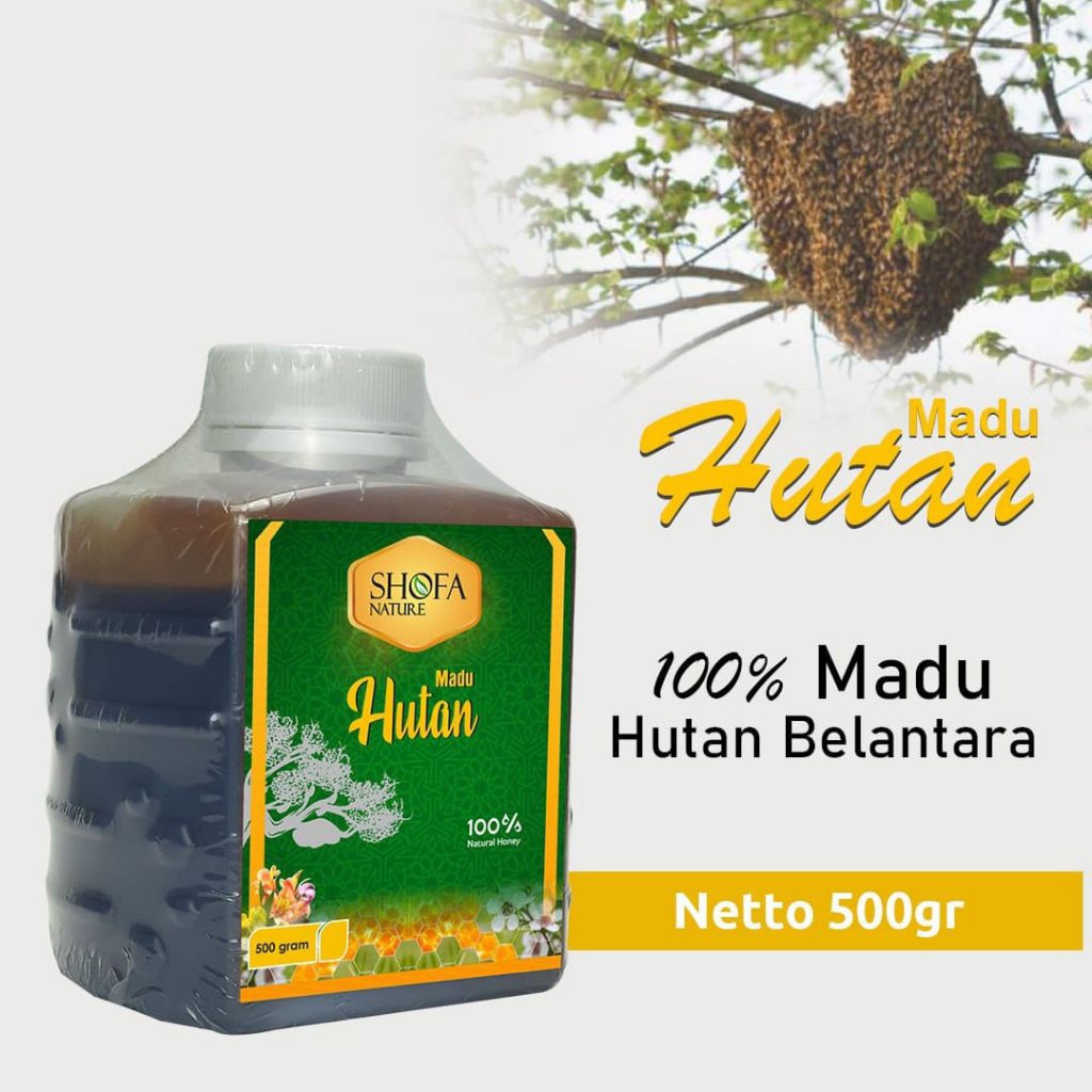 

Madu Hutan Shofa Nature 500 gram bantu tingkatkan imun tubuh