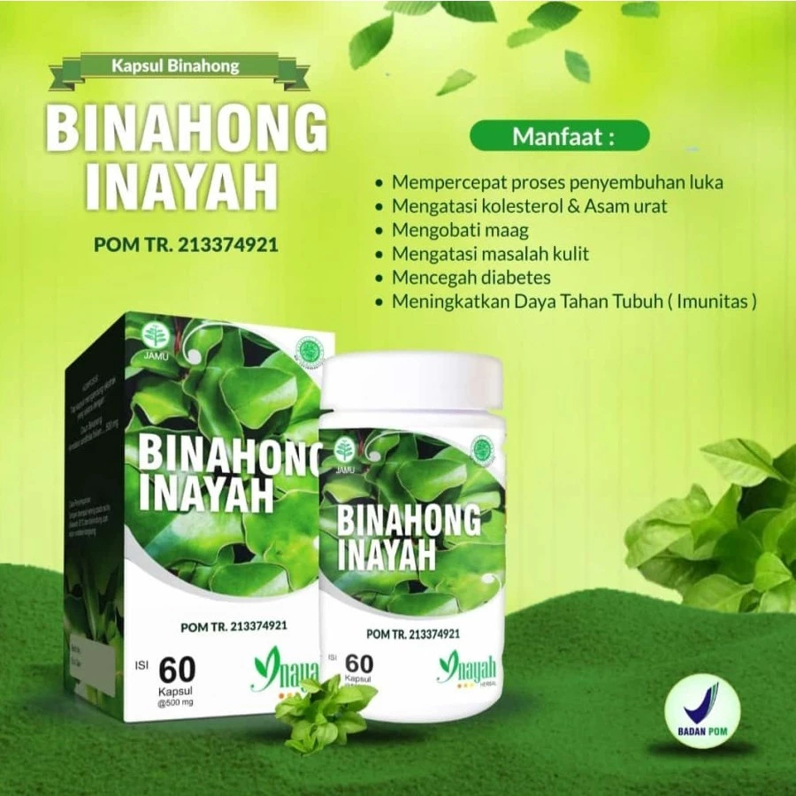 

(BPOM) Kapsul Ekstrak Daun Binahong PRODUCT INAYAH Original isi 60kapsul