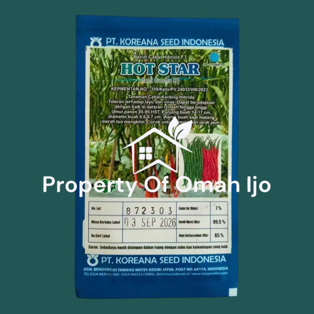 Benih Cabe Hot Star F1 Koreana Seed – Tahan Layu & Virus, Panen 85 HST