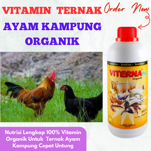 Vitamin Ternak Ayam Kampung Cepat Gemuk / Vitamin Ayam Kampung Lahap Makan / Vitamin Ayam Kampung Ce