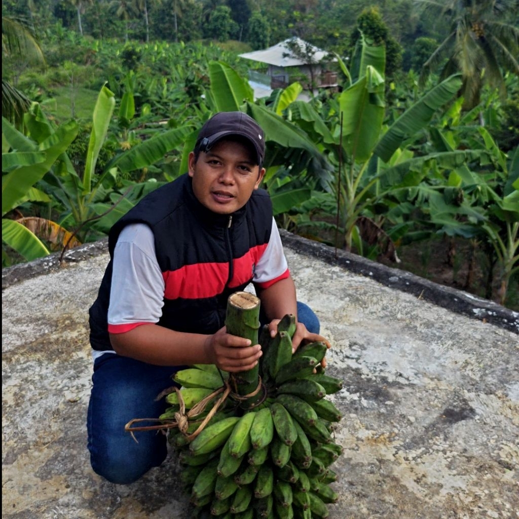 

PISANG KEPOK PREMIUM Pilihan Terbaik untuk Kesehatan & Kenikmatan