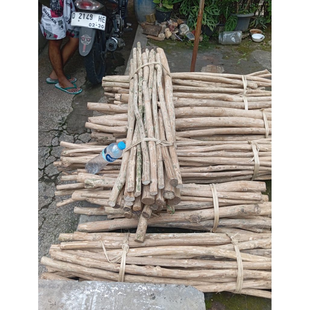 Tangkringan kayu kopi / Pangkringan Burung parrot