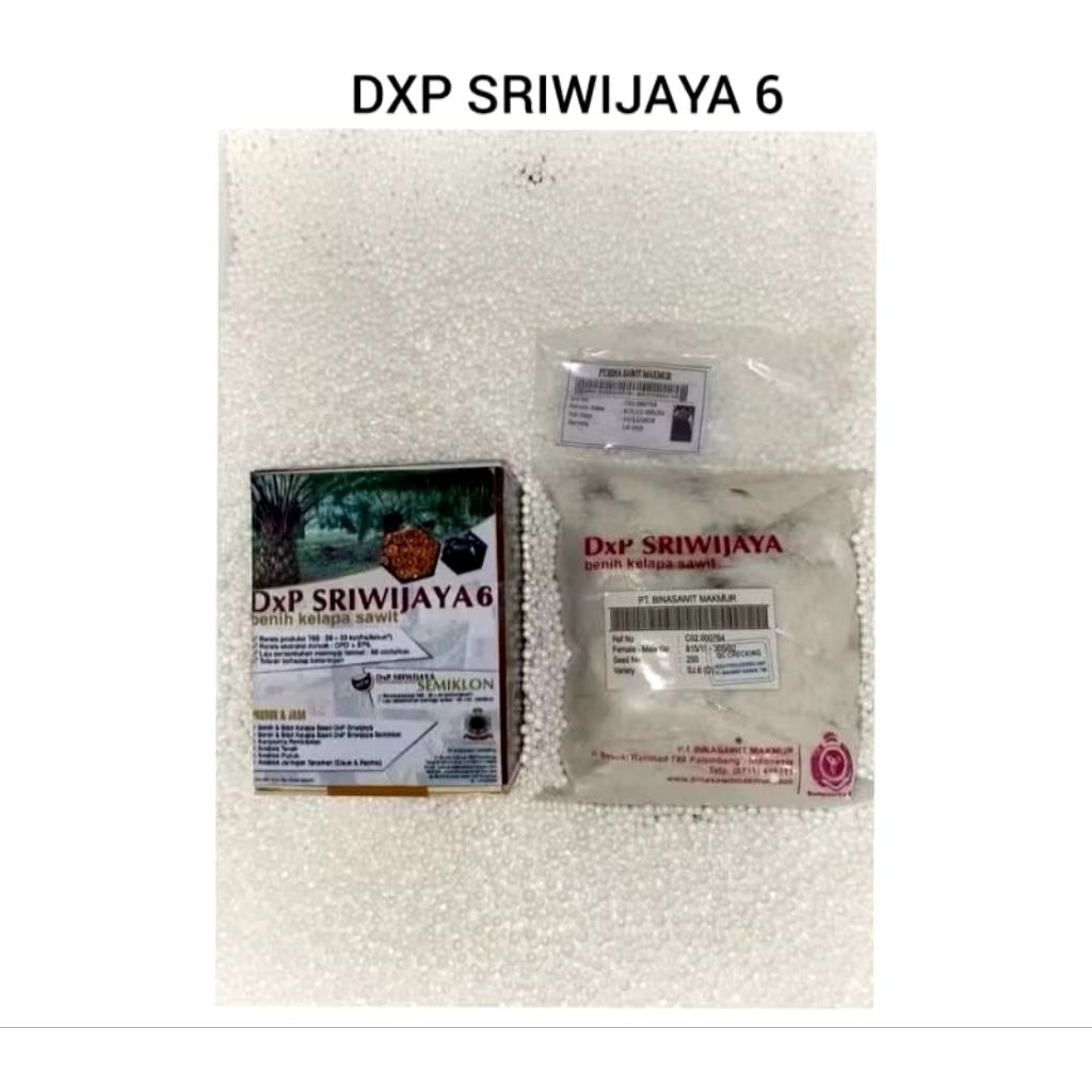 Sawit Benih Polong DxP SRIWIJAYA 6 KUALITAS UNGGUL