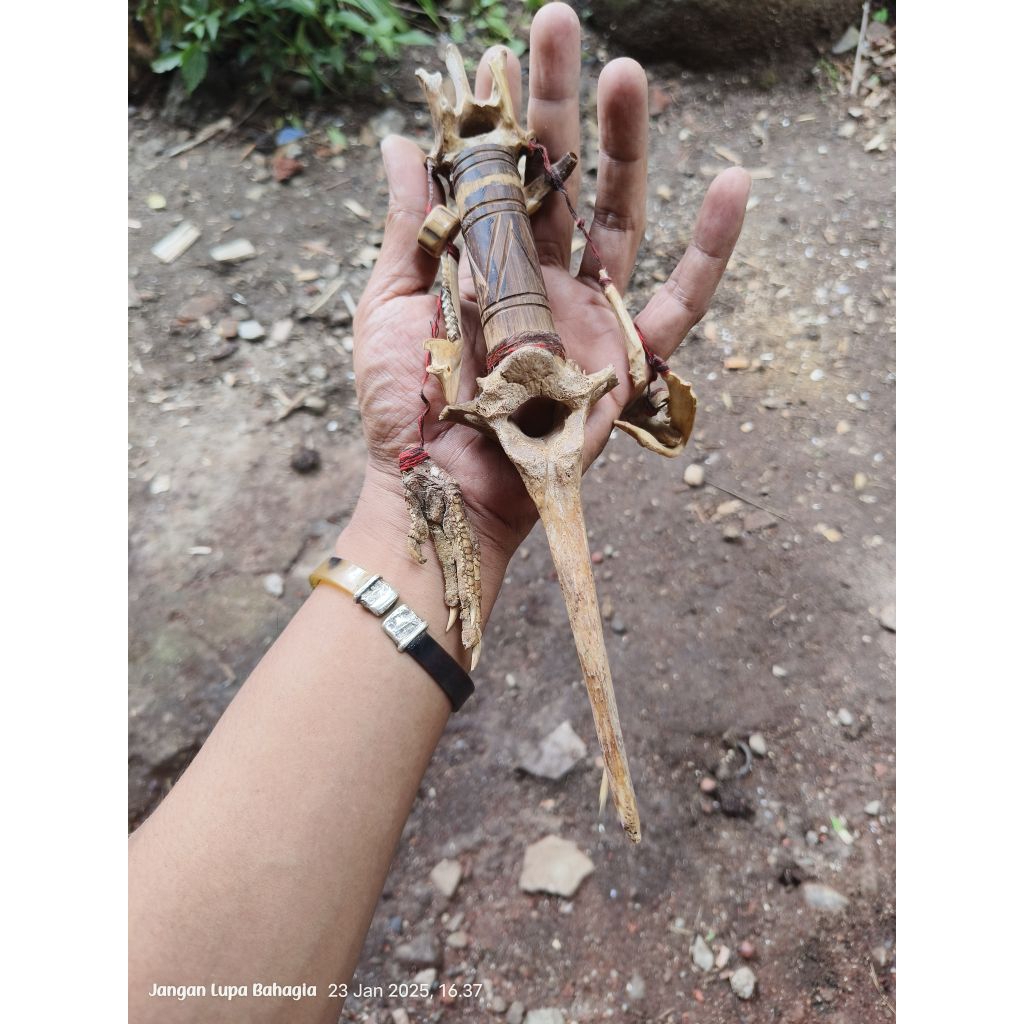Jimatan sepuh tulang ekor HM H@ri M4u bentuk pisau dihiasi tanrus ceker ayam cemani kuk@n9 gigi kud4