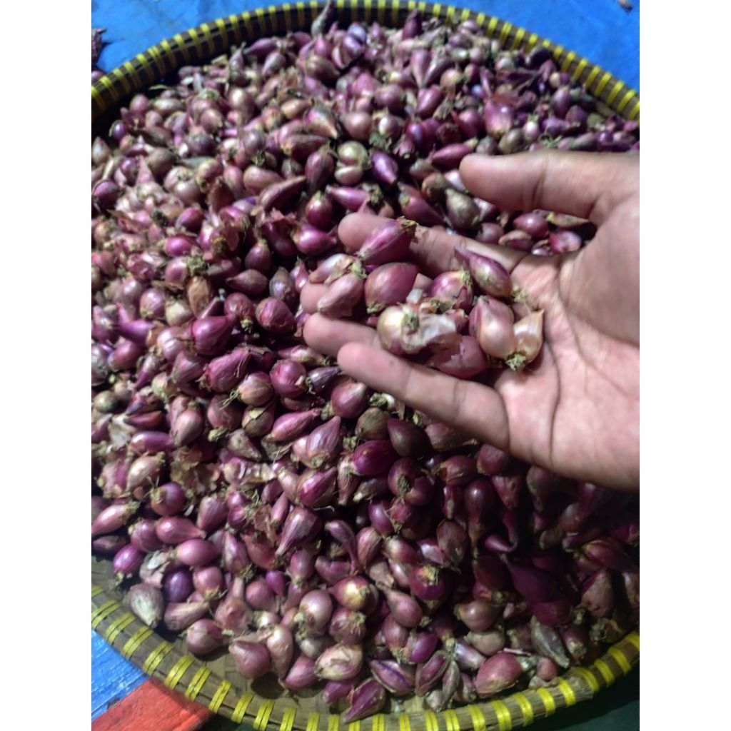 

ready bawang merah lokal ngnjuk 1kg