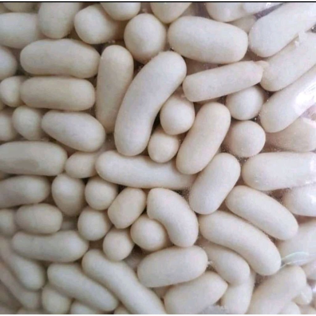

pilus asin kapsul