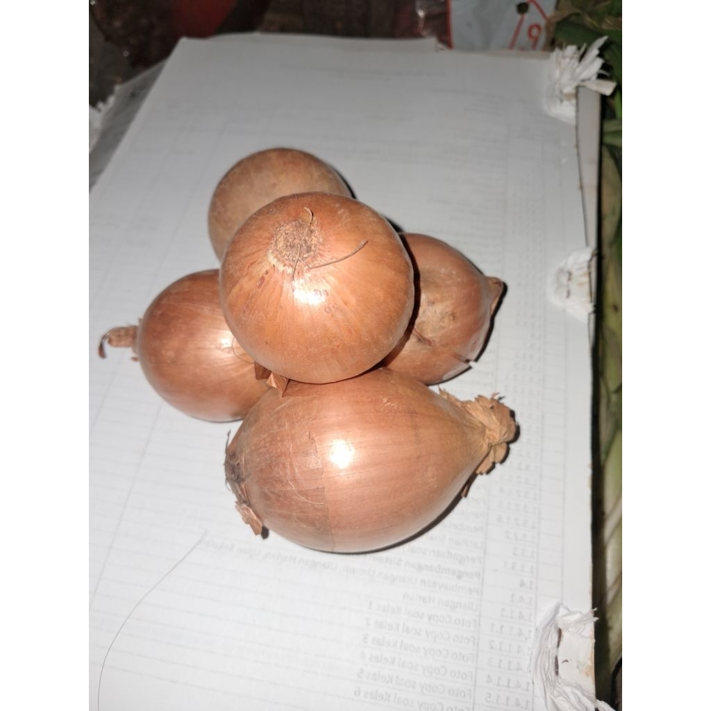 

Bawang bombay berkualitas bagus kemasan 250gr/500/1kg.