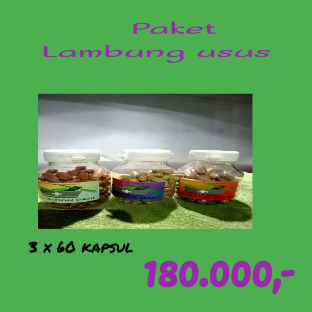 nutrisi lambung usus