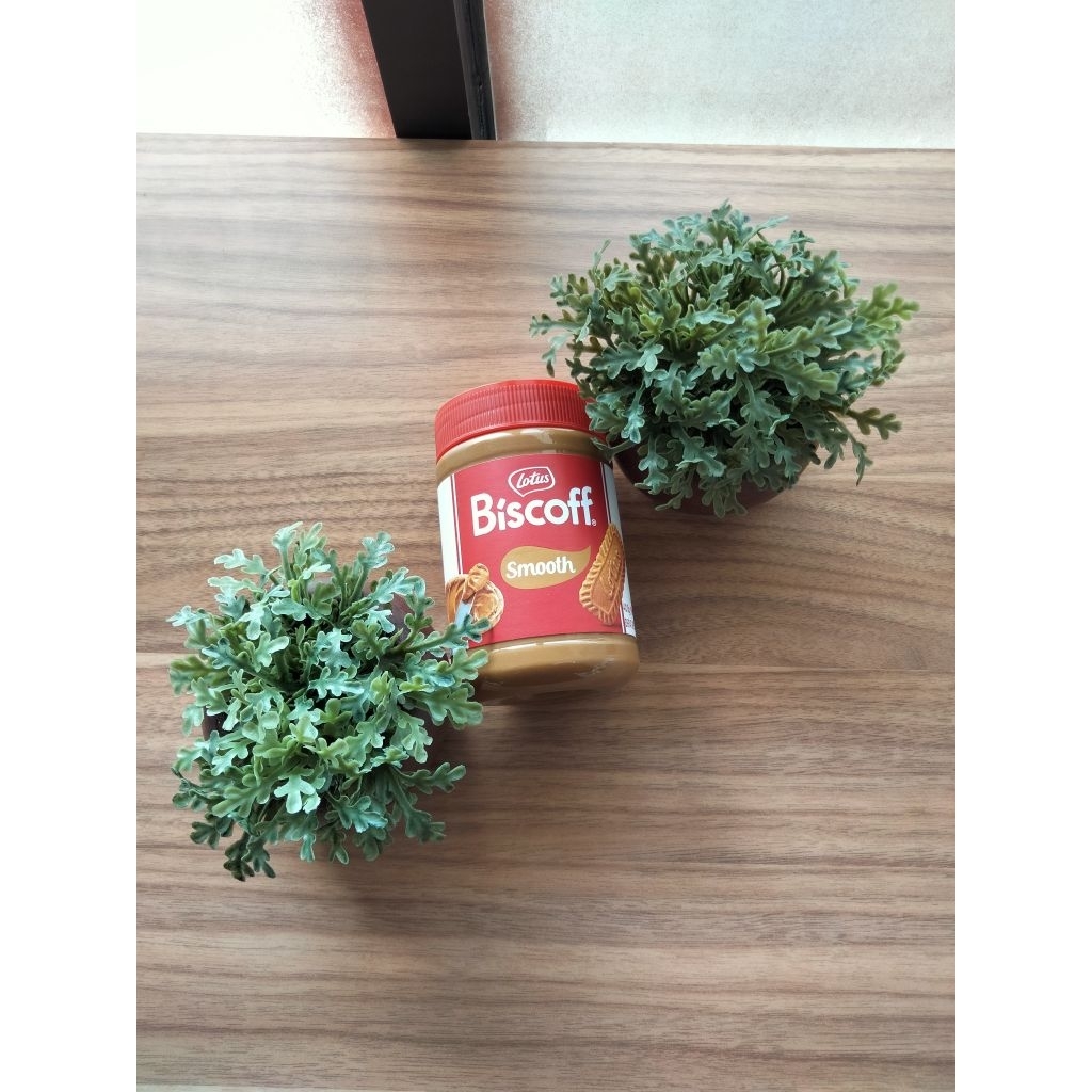 

Lotus biscoff smooth 400g