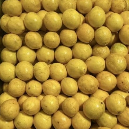 

Buah lemon lokal citra super fresh 1 kg