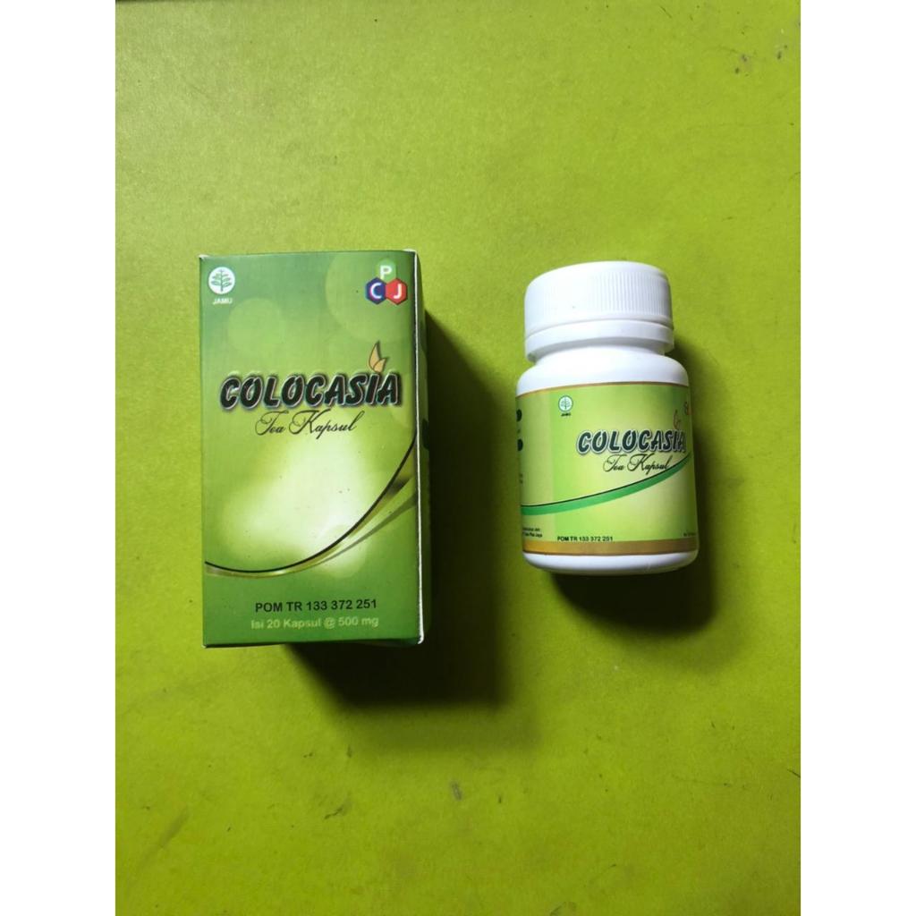 COLOCASIA obat herbal kesehatan tulang lutut dan sendi, asam urat reumatik original colocasia