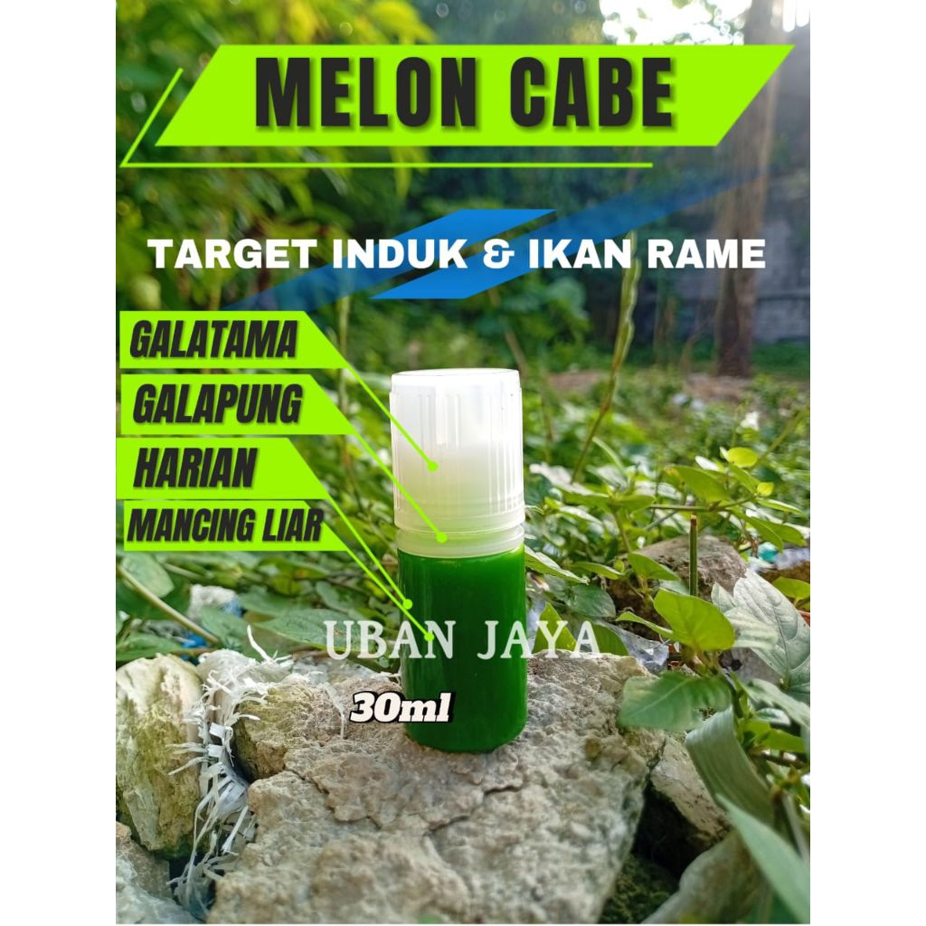 Essen Melon Cabe