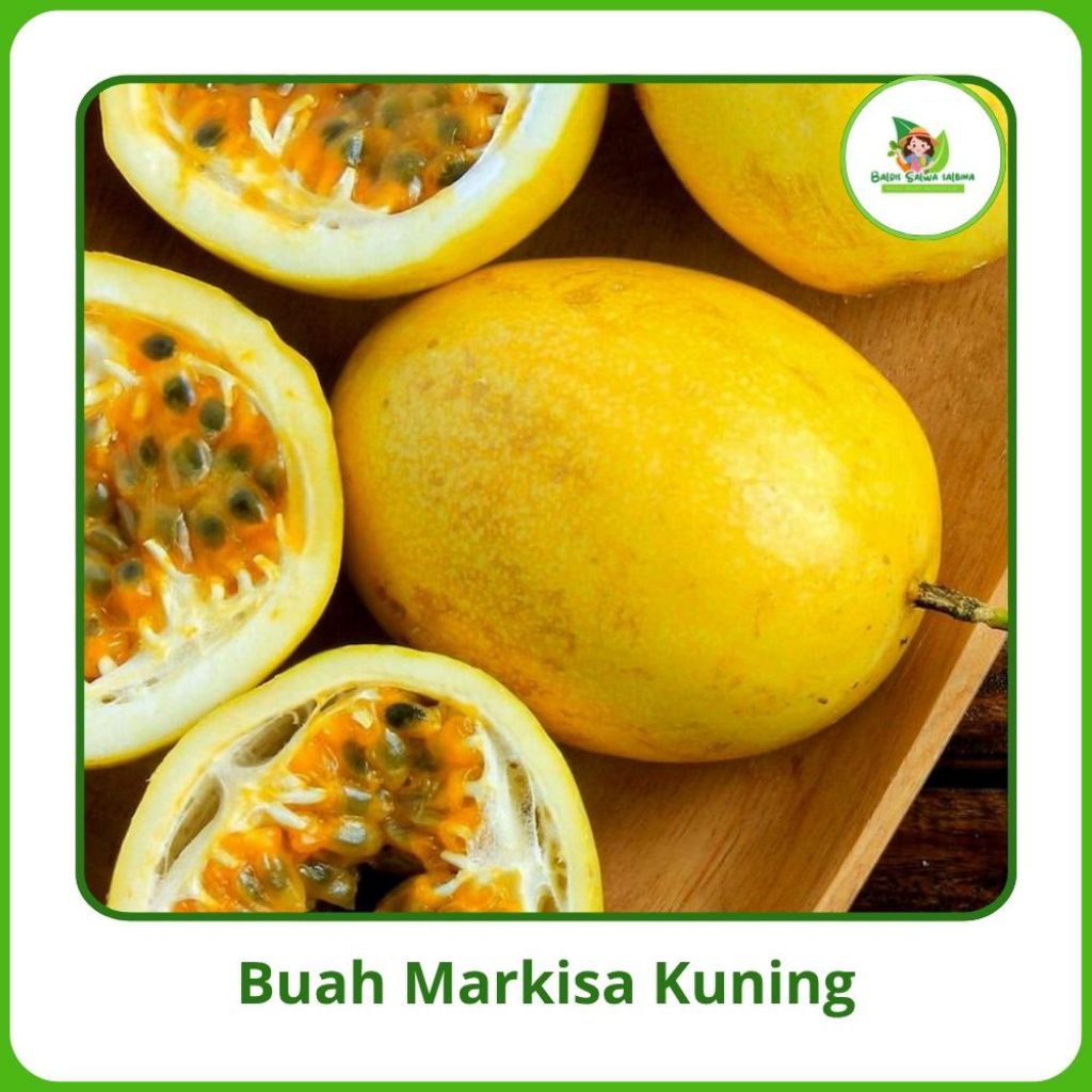 

Buah Markisa Kuning Segar [500g/1000g] COD murah