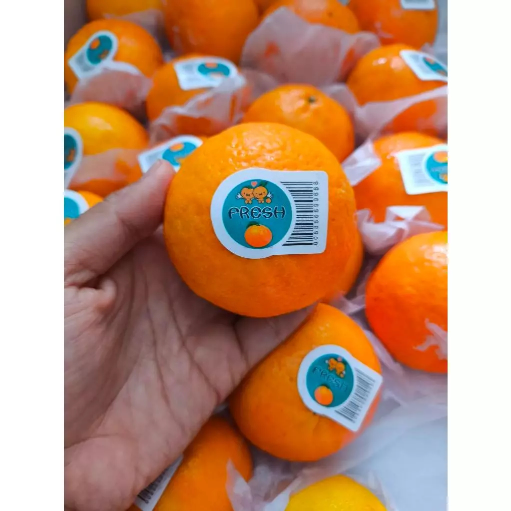 

Jeruk Wogan Import Segar Manis
