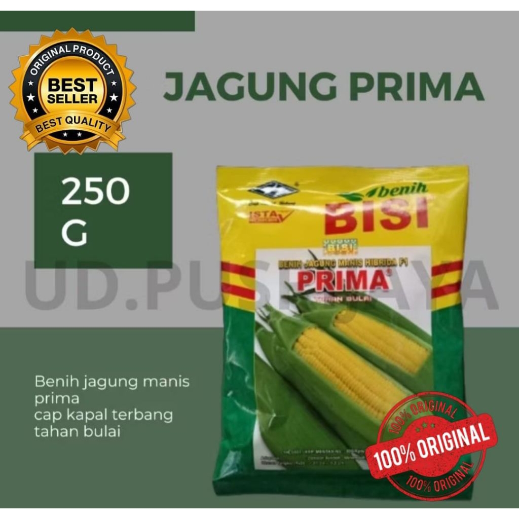 Benih jagung manis Prima BISI berat bersih 250 gram