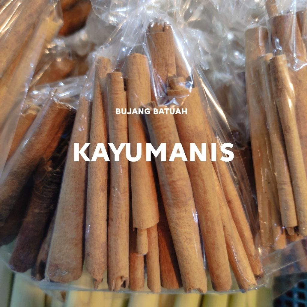 

KAYU MANIS SUMATRA 5RIBUAN GAMBAR ASLI