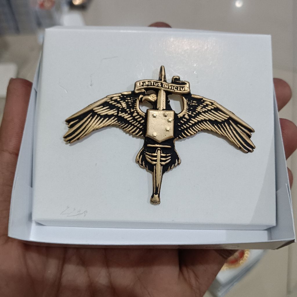 brevet pin wing US MARSOC badge marine corps forces special operations