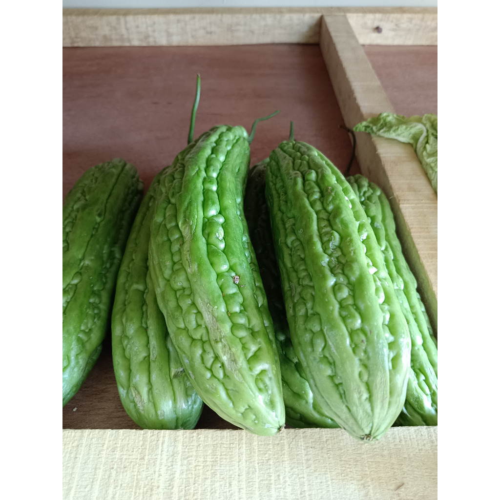 

Sayur Pare Hijau Segar 500 gr