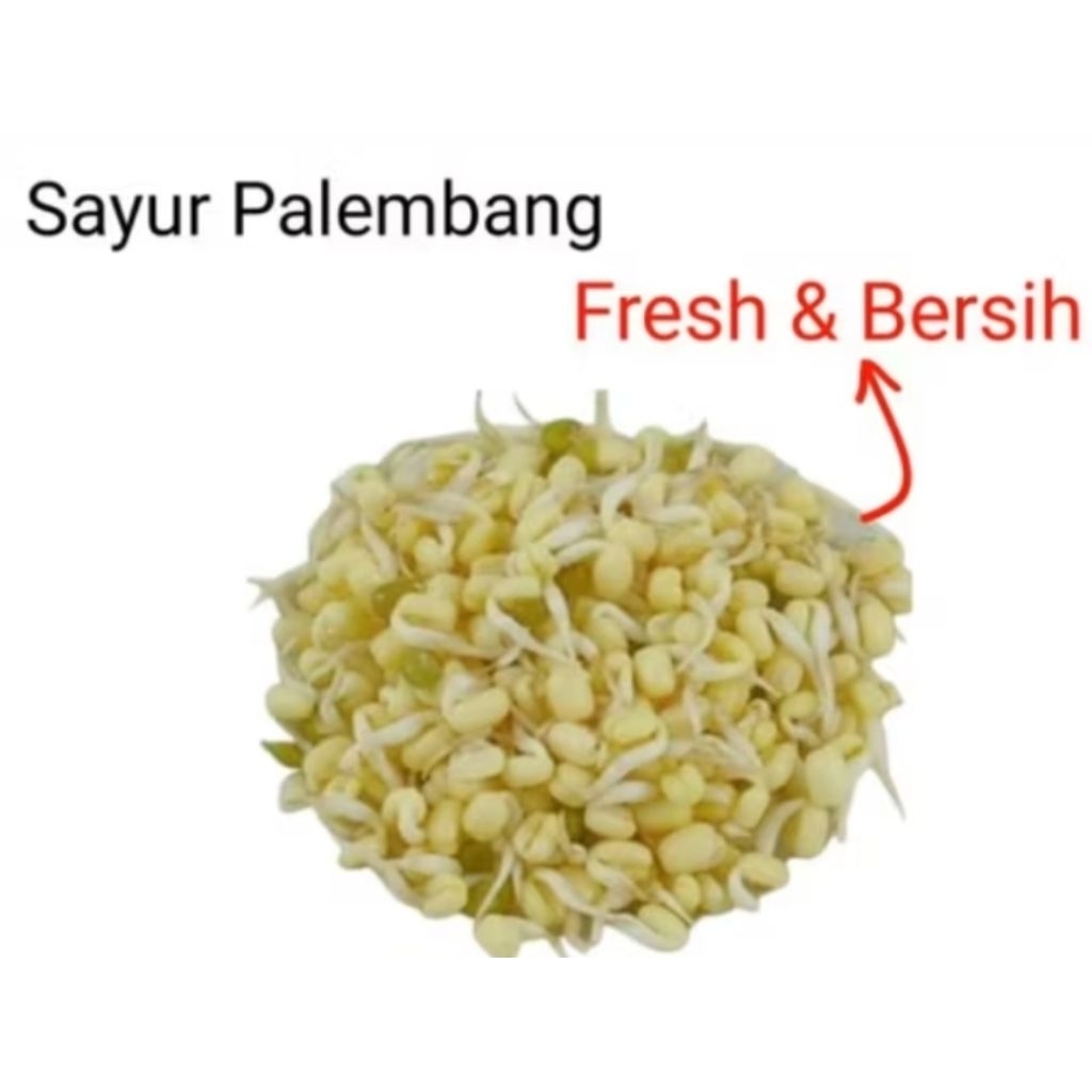 

TOUGE SOTO - Palembang