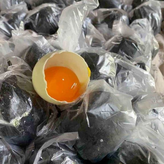 

TELUR ASIN MENTAH FRESH BUTIRAN TELUR BEBEK ASIN PER-BUTIR