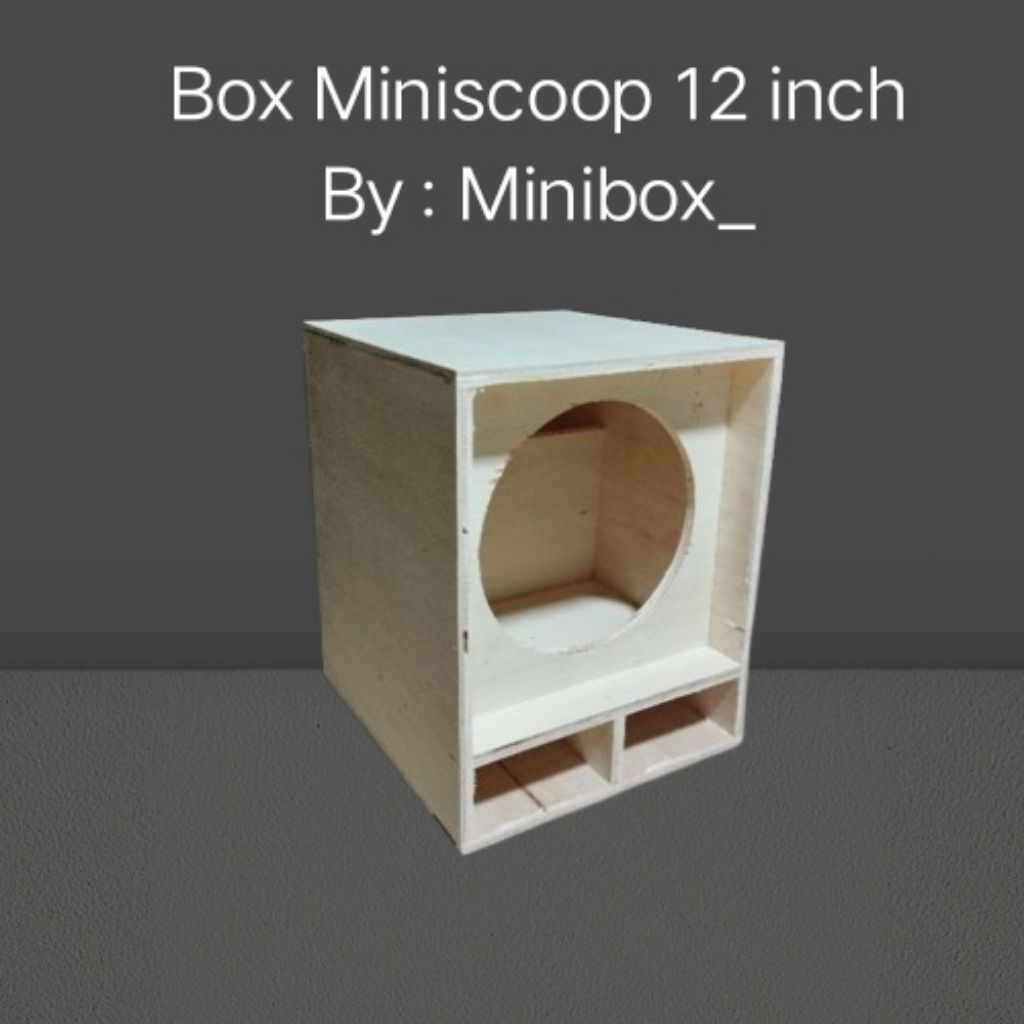 Box Speaker Miniscoop 12 inch