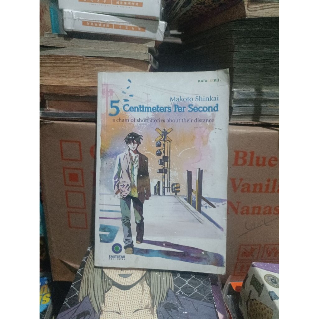 novel 5 centimeters per second / 5 Cm per second / novel 5 cm per second karya makoto shinkai