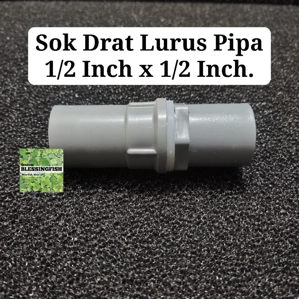 Sok Drat Lurus Pipa 1/2 Inch x 1/2 Inch Socket Drat Lurus Pipa 1/2 Inch x 1/2 Inch Aquarium Sambunga