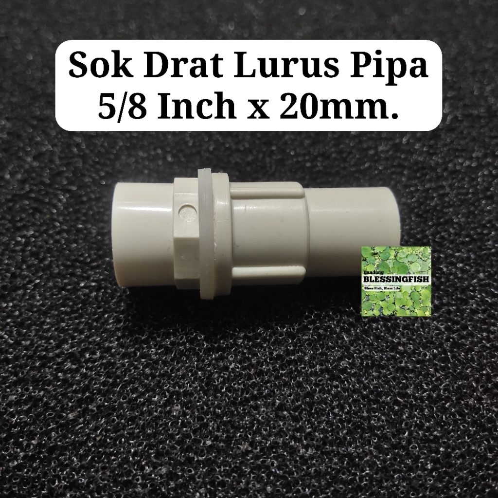 Sok Drat Lurus Pipa 5/8Inch x 20mm Socket Drat Lurus Pipa Aquarium 5/8 Inch ke 20mm Sambungan Pipa 5