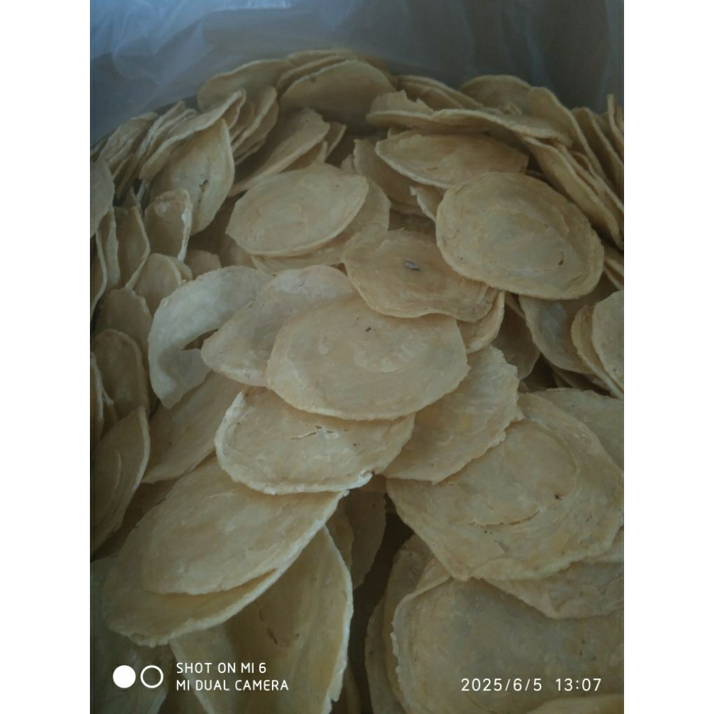 

EMPING MELINJO ASLI LIMPUNG|| BINGGOL|| BULATAN BESAR|| 1000gr