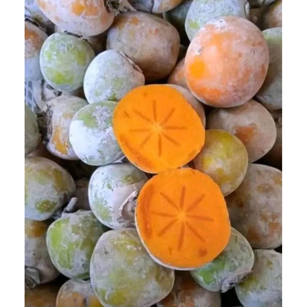 Buah Kesemek / Persimmon Lokal Indonesia
