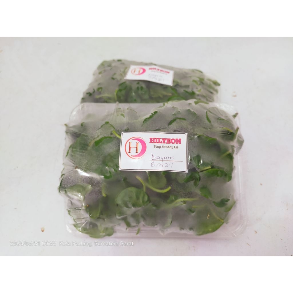 

Sayur Bayam Brazil 50 gram segar organik - KWT NUANSA INDAH 3
