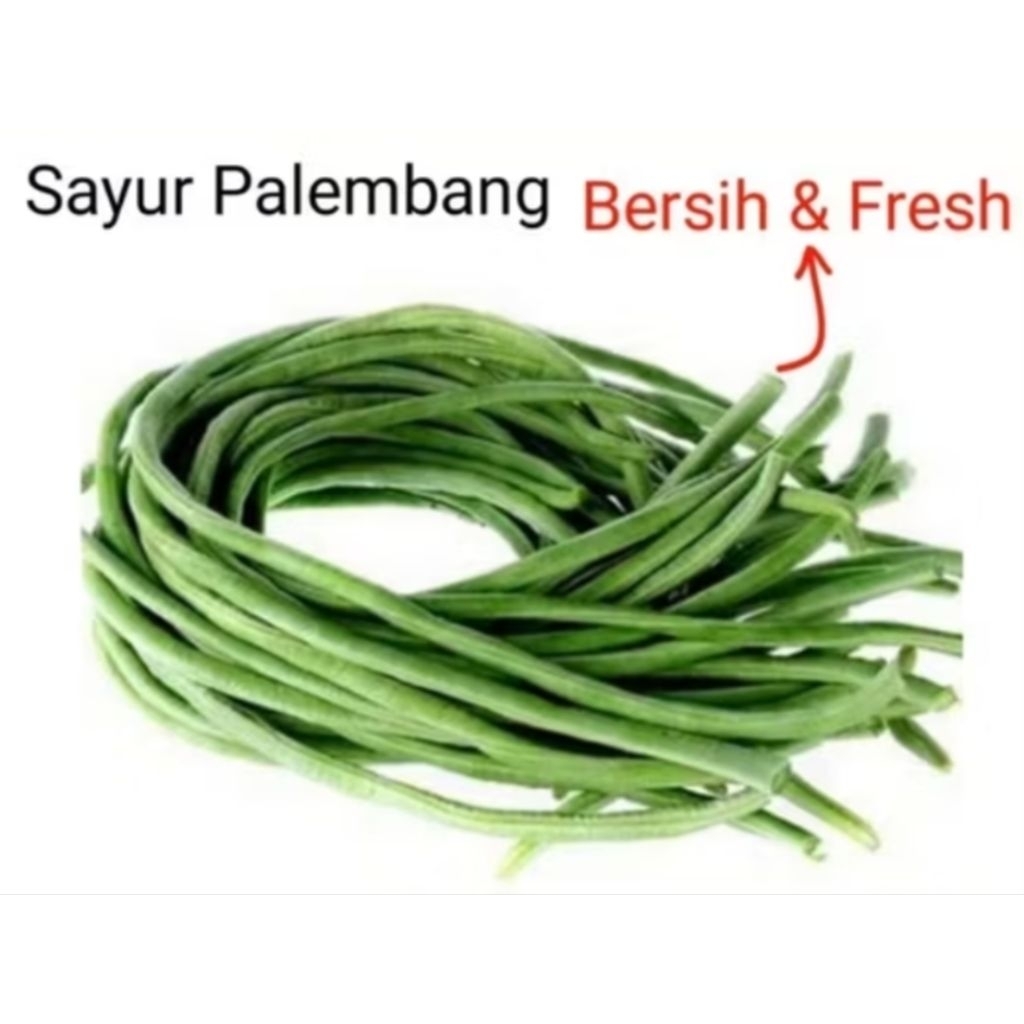 

KACANG PANJANG - Palembang