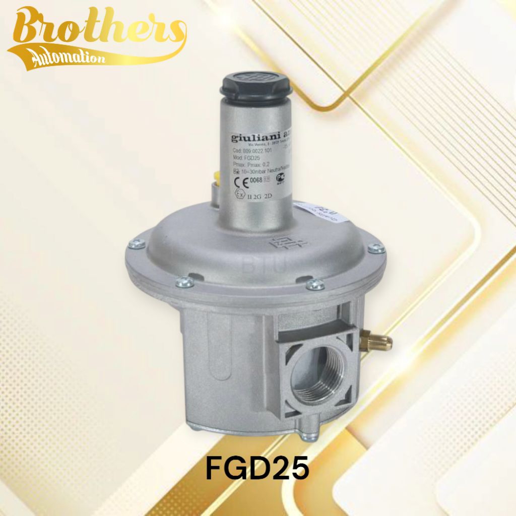 GIULIANI ANELLO FGD25 Gas Regulator