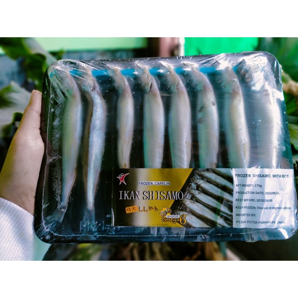 

Capelin Shisamo Fish | Ikan isi telur (±170gr)