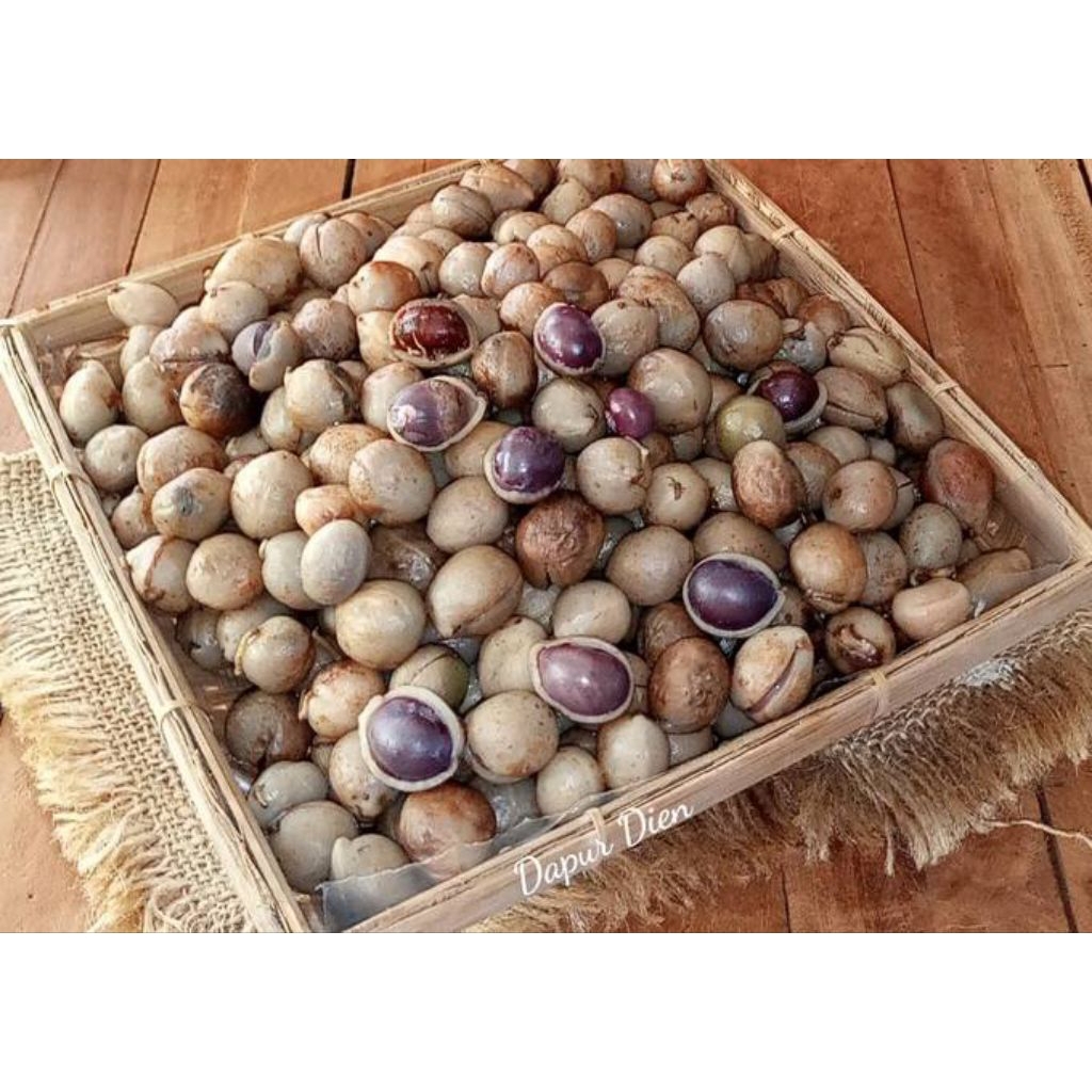 

Kacang Bogor Gondolo Kemasan 1 kg COD