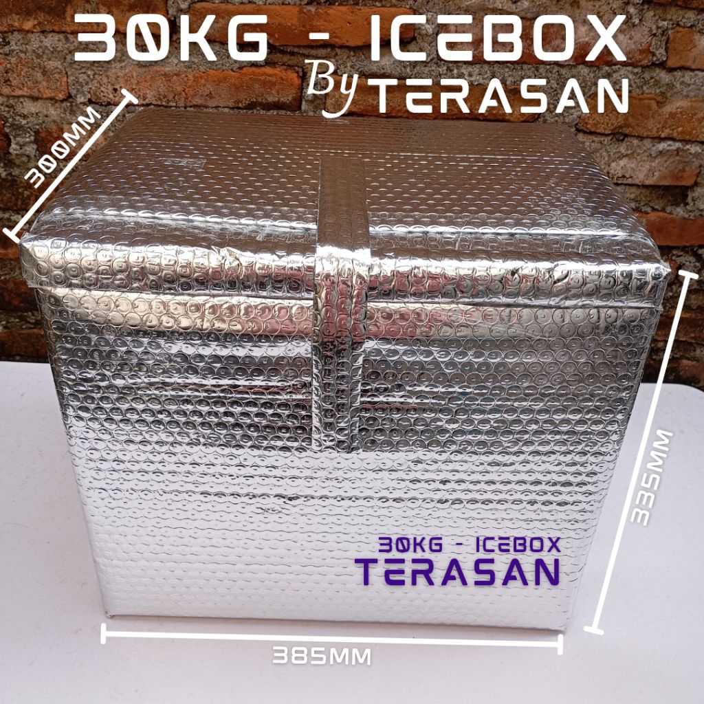 ICEBOX Cooler Box Kotak Peti Es 30kg Styrofoam Aluminium Foil Bag Kotak Tas Pendingin Es Tahan 12 Ja