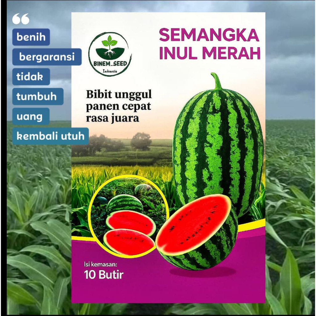 BIBIT SEMANGKA INUL MERAH
