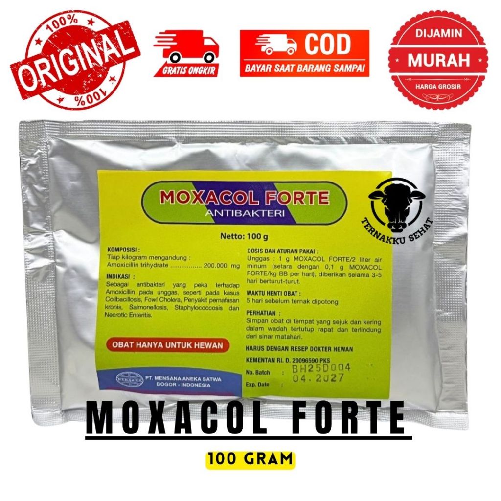 MOXACOL FORTE 100 GRAM - Mensana - Antibakteri Amoxi.cilline