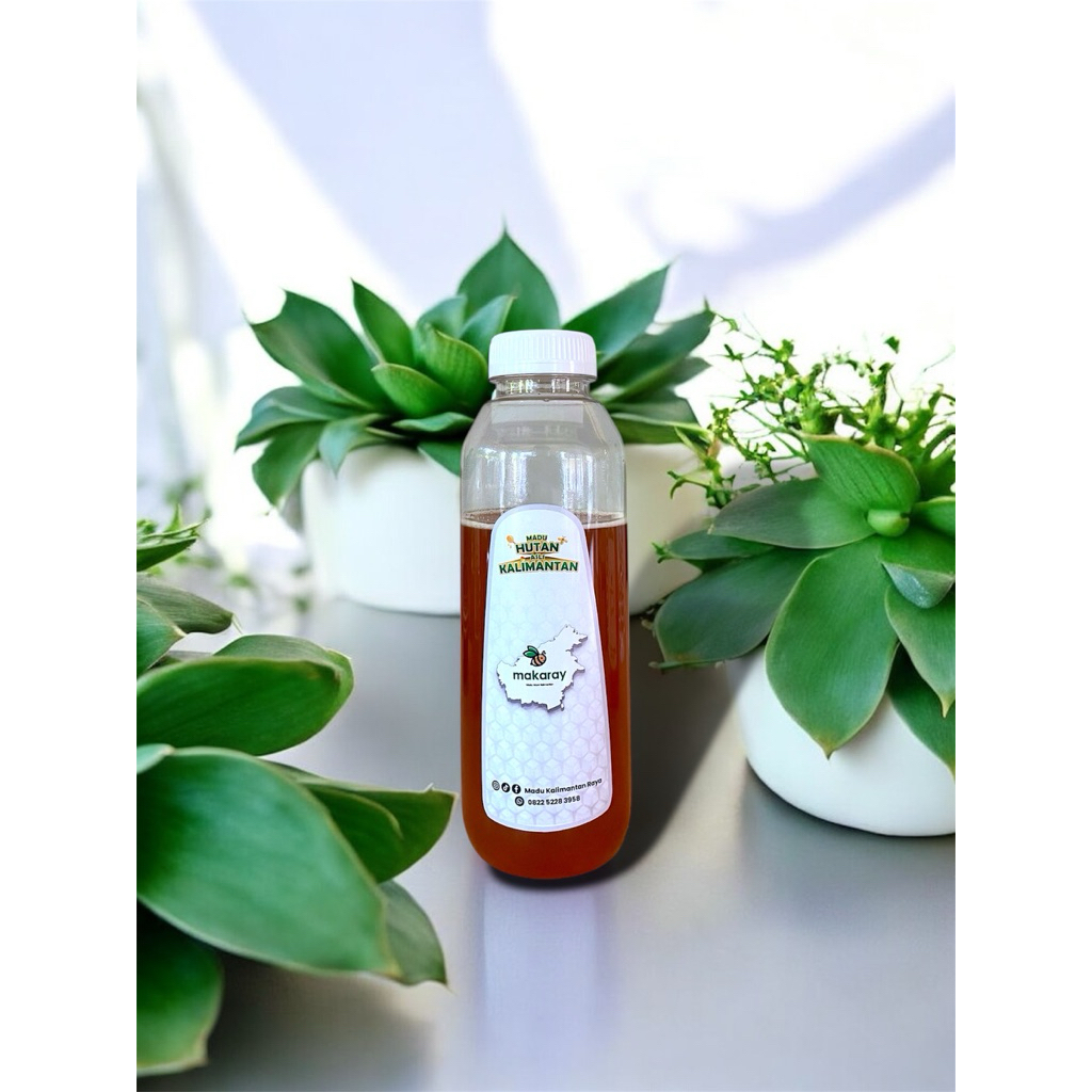 

Madu Murni Hutan Kalimantan – Madu Asli Hutan Danau Sentarum – Apis Dorsata 100% Natural 500gr