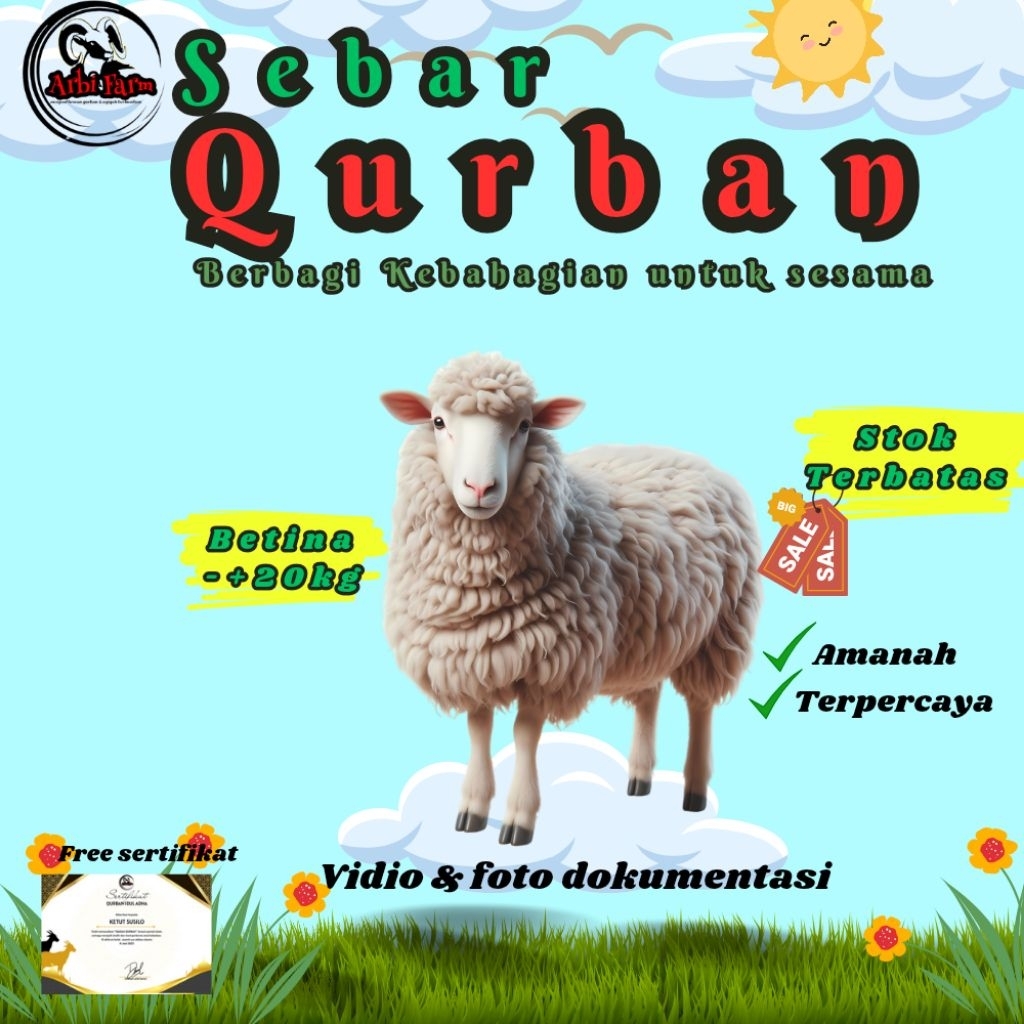 

kambing domba Qurban berkah 2026
