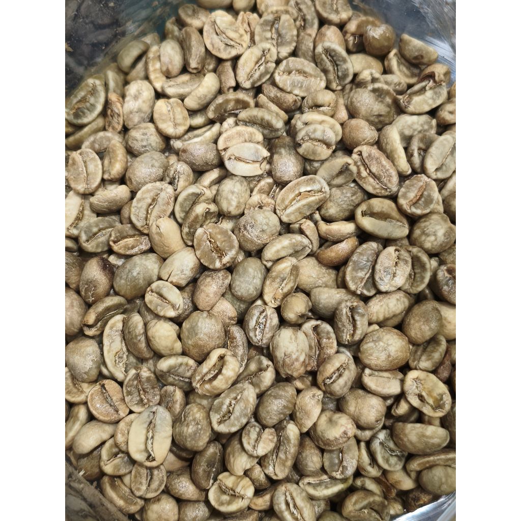 

Kopi Green Bean Robusta Sortir Super Semi Wash 1Kg