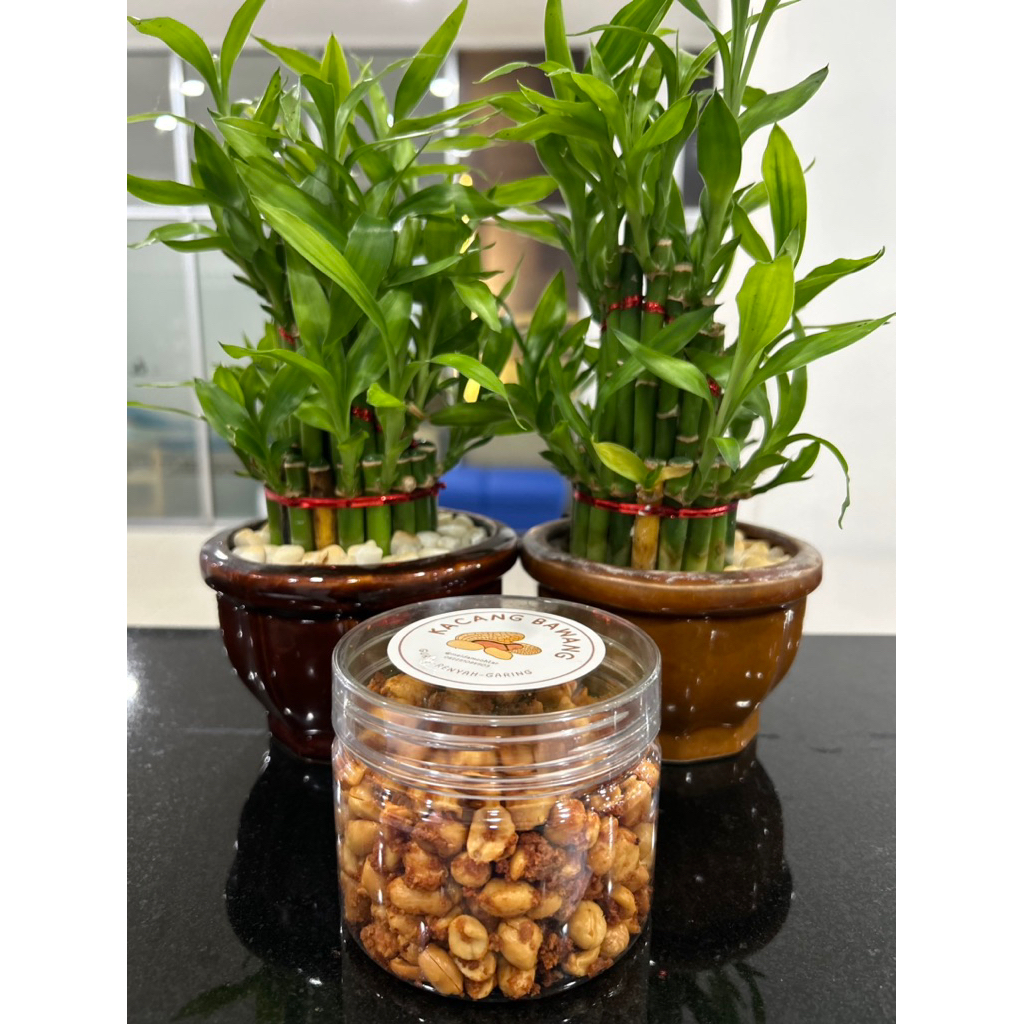 

Kacang bawang Small