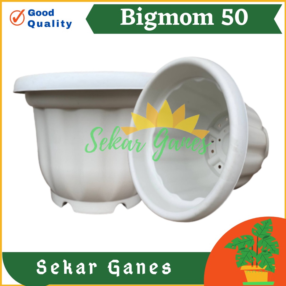 KODE C59E Pot Kuat 55 Putih  Pot Besar Jumbo Murah 5cm 6cm Pot Besar Plastik Bahan Tebal  Pot Bunga 