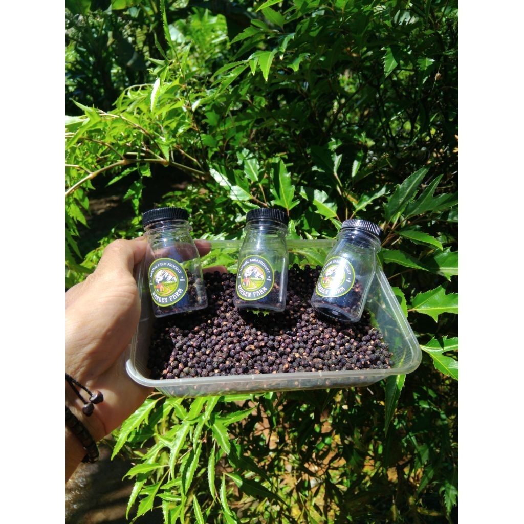 

buah angkung kering / binahong berkualitas obat struk 200 biji free 50 biji