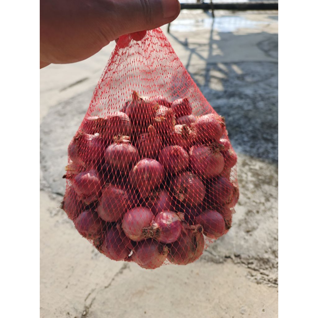 

Bawang Merah Temanggung | Terbaik Termurah