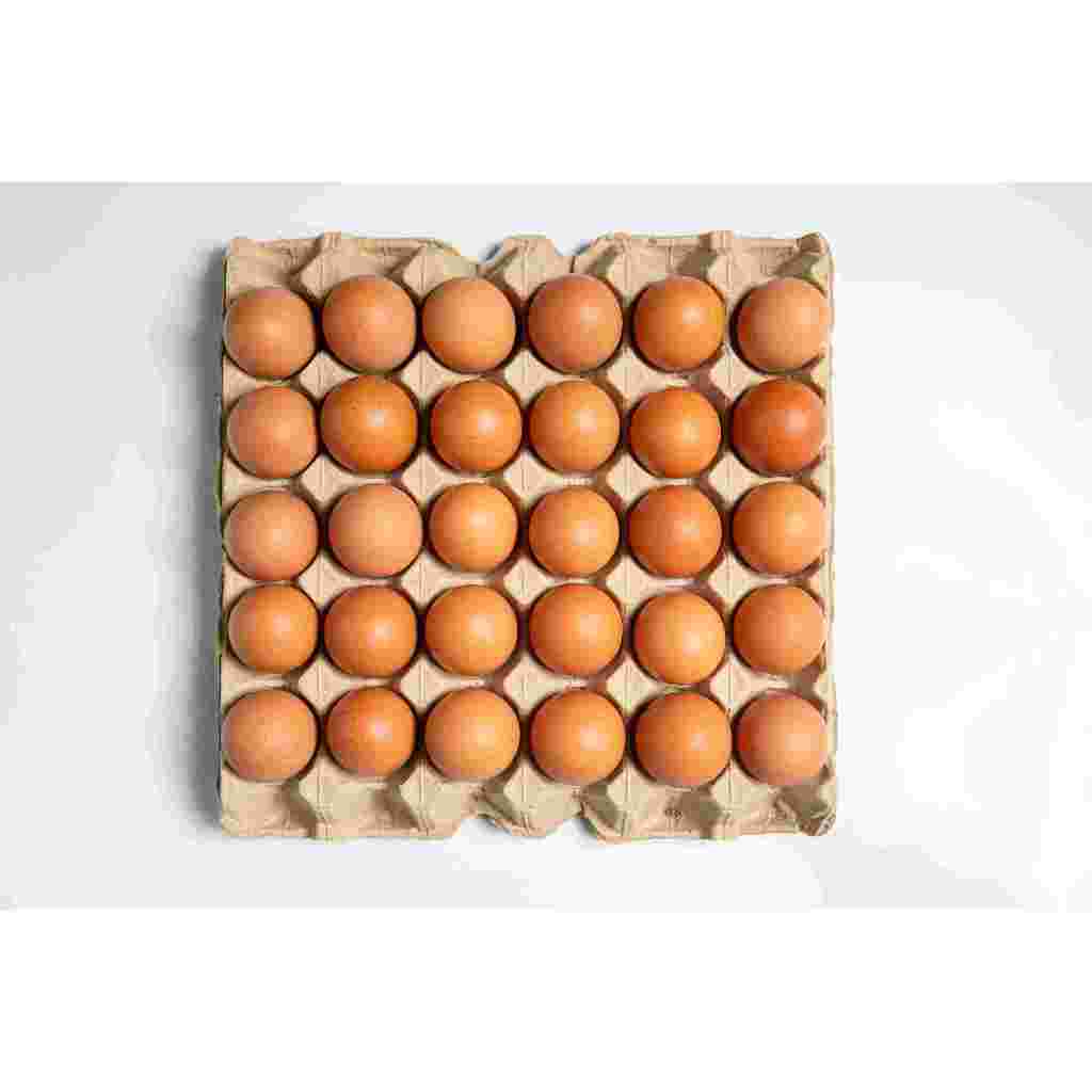 

TELOR OMEGA JUMBO isi 1kg /Telur Ayam/Telur Murah/telor omega 3/omega