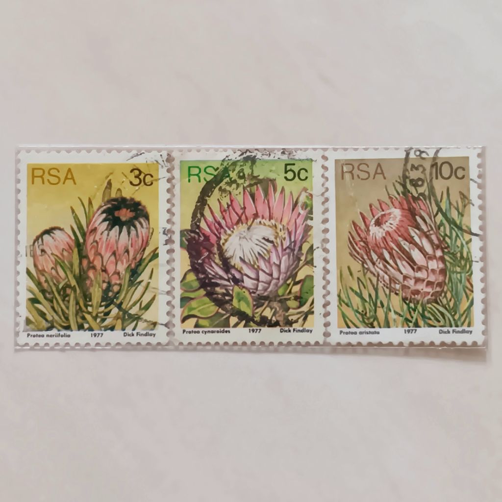 

(AB) Perangko Afrika Selatan 1977 Sugarbushes Set 3 pcs Used
